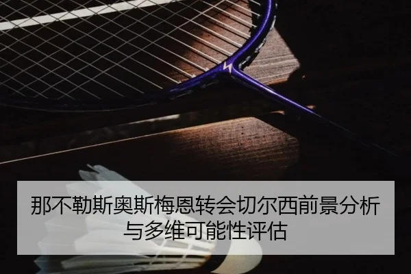 那不勒斯奥斯梅恩转会切尔西前景分析与多维可能性评估